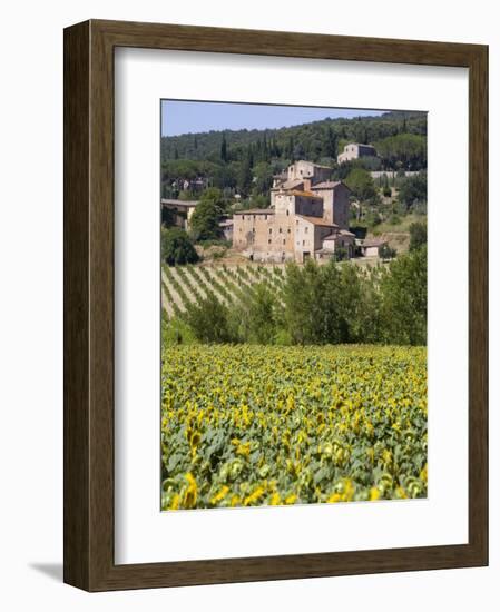 Near Siena, Val D'Orcia, Tuscany, Italy, Europe-Marco Cristofori-Framed Photographic Print