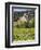 Near Siena, Val D'Orcia, Tuscany, Italy, Europe-Marco Cristofori-Framed Photographic Print