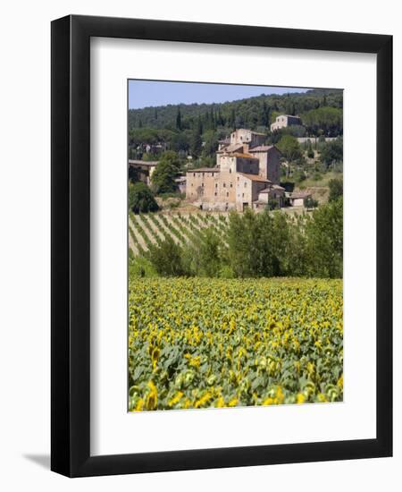 Near Siena, Val D'Orcia, Tuscany, Italy, Europe-Marco Cristofori-Framed Photographic Print