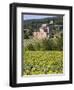 Near Siena, Val D'Orcia, Tuscany, Italy, Europe-Marco Cristofori-Framed Photographic Print