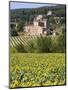 Near Siena, Val D'Orcia, Tuscany, Italy, Europe-Marco Cristofori-Mounted Photographic Print