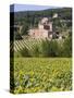 Near Siena, Val D'Orcia, Tuscany, Italy, Europe-Marco Cristofori-Stretched Canvas