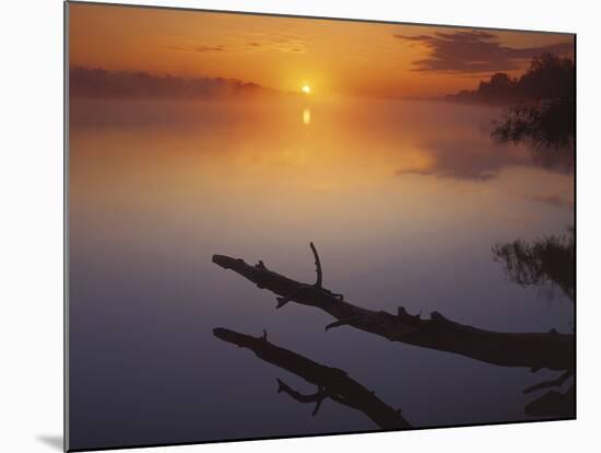 Near St Charles at Sunrise on the Mississippi River, Missouri, USA-Charles Gurche-Mounted Photographic Print