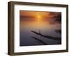 Near St Charles at Sunrise on the Mississippi River, Missouri, USA-Charles Gurche-Framed Photographic Print