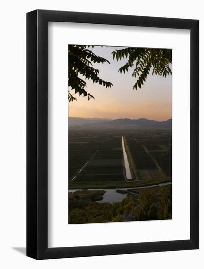 near Staseviki, Dalmatia, Croatia. Agricultural landscape.-null-Framed Photographic Print