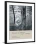 Near the Rialto II-Chris Simpson-Framed Giclee Print