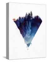 Near to the Edge-Robert Farkas-Stretched Canvas