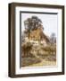 Near Witley, Surrey (Watercolour with Scratching Out)-Helen Allingham-Framed Giclee Print