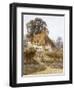 Near Witley, Surrey (Watercolour with Scratching Out)-Helen Allingham-Framed Giclee Print