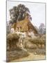 Near Witley, Surrey (Watercolour with Scratching Out)-Helen Allingham-Mounted Giclee Print