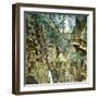 Near Zermatt (Switzerland), the Gorges of Groner, Circa 1865-Leon, Levy et Fils-Framed Photographic Print