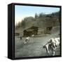 Near Zermatt (Switzerland), the Path of the Riffelalp, Circa 1865-Leon, Levy et Fils-Framed Stretched Canvas