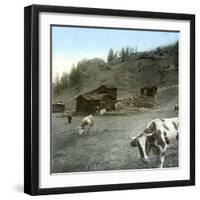 Near Zermatt (Switzerland), the Path of the Riffelalp, Circa 1865-Leon, Levy et Fils-Framed Photographic Print