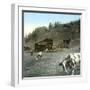Near Zermatt (Switzerland), the Path of the Riffelalp, Circa 1865-Leon, Levy et Fils-Framed Photographic Print