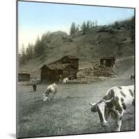 Near Zermatt (Switzerland), the Path of the Riffelalp, Circa 1865-Leon, Levy et Fils-Mounted Photographic Print