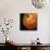 Nearly Full View of Io, One of the Moons of Jupiter, 1979-null-Giclee Print displayed on a wall