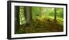 Nearly Natural Spruce Forest, Ammergau Alps, Saulgrub, Bavaria, Germany-Andreas Vitting-Framed Photographic Print