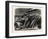 Nearly Overboard, Vessel, Maritime, Storm-null-Framed Giclee Print