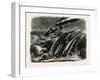 Nearly Overboard, Vessel, Maritime, Storm-null-Framed Giclee Print