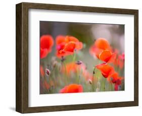 Nearness-Marco Carmassi-Framed Photographic Print