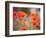 Nearness-Marco Carmassi-Framed Photographic Print