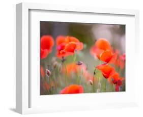 Nearness-Marco Carmassi-Framed Photographic Print