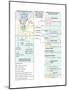 Nearsighted Eye (Myopia). Concave Lens, Ophthalmology, Health and Disease-Encyclopaedia Britannica-Mounted Poster