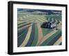 Neat, Swirling Furrows, Contour Plowed across Gently Rolling Fields of Southwestern Wisconsin-John Zimmerman-Framed Photographic Print