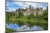 Neath Abbey, Wales, United Kingdom, Europe-Billy Stock-Mounted Photographic Print