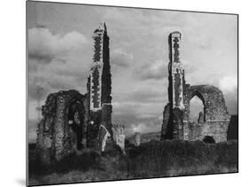 Neath Abbey-null-Mounted Photographic Print