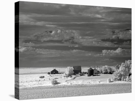 Nebraska Farm-J.D. Mcfarlan-Stretched Canvas