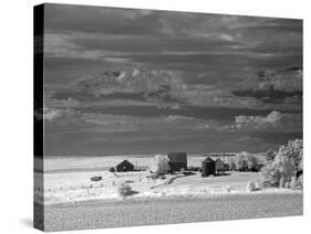 Nebraska Farm-J.D. Mcfarlan-Stretched Canvas