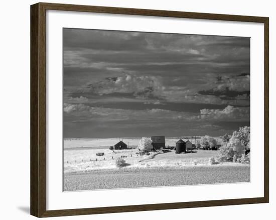 Nebraska Farm-J.D. Mcfarlan-Framed Photographic Print