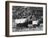 Nebraska, Scotts Bluff National Monument. Covered Wagons in Field-Dennis Flaherty-Framed Premium Photographic Print