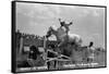 Nebraska - White Horse Ranch; Riding in White-Lantern Press-Framed Stretched Canvas