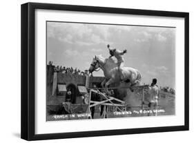 Nebraska - White Horse Ranch; Riding in White-Lantern Press-Framed Art Print