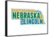 Nebraska Word Cloud Map-NaxArt-Framed Stretched Canvas