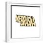 Nebraska-Art Licensing Studio-Framed Giclee Print