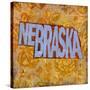 Nebraska-Art Licensing Studio-Stretched Canvas