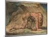 Nebuchadnezzar, 1795-William Blake-Mounted Giclee Print