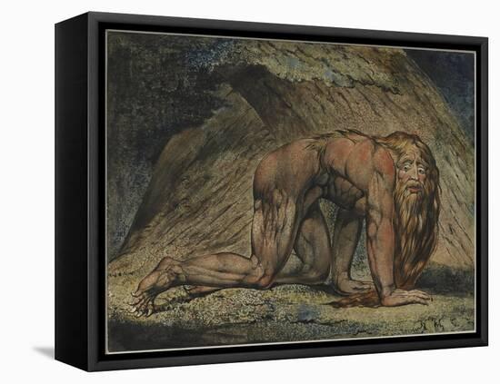 Nebuchadnezzar, 1795-William Blake-Framed Stretched Canvas