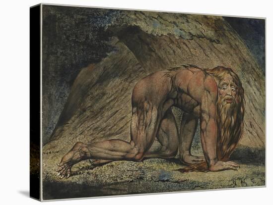 Nebuchadnezzar, 1795-William Blake-Stretched Canvas