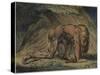 Nebuchadnezzar, 1795-William Blake-Stretched Canvas