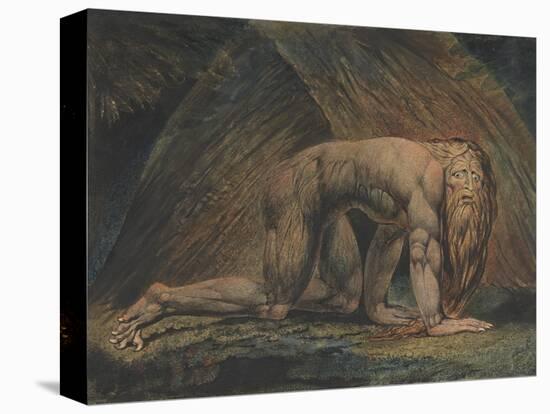 Nebuchadnezzar-William Blake-Stretched Canvas