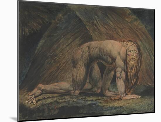 Nebuchadnezzar-William Blake-Mounted Giclee Print