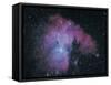 Nebula-Digital Vision.-Framed Stretched Canvas