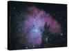 Nebula-Digital Vision.-Stretched Canvas