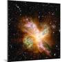 Nebula-Yastremska-Mounted Photographic Print