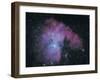 Nebula-Digital Vision.-Framed Photographic Print