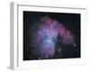 Nebula-Digital Vision.-Framed Photographic Print